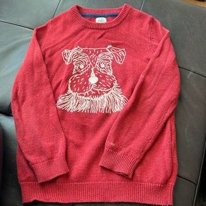 Dog Mini Biden Sweater size 7/8y